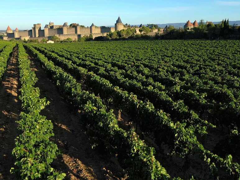 Destination Grands Vins en Grand Carcassonne – Vignobles & Découvertes