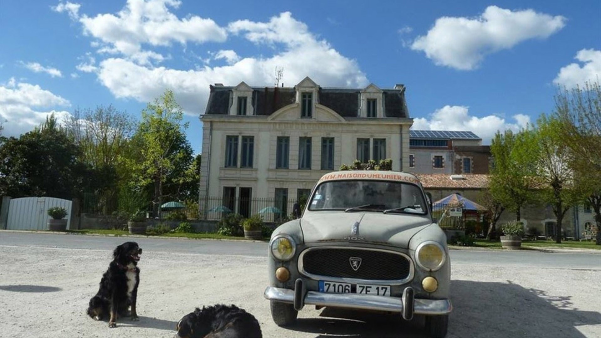 Le domaine du Meunier à Mortagne-sur-Gironde