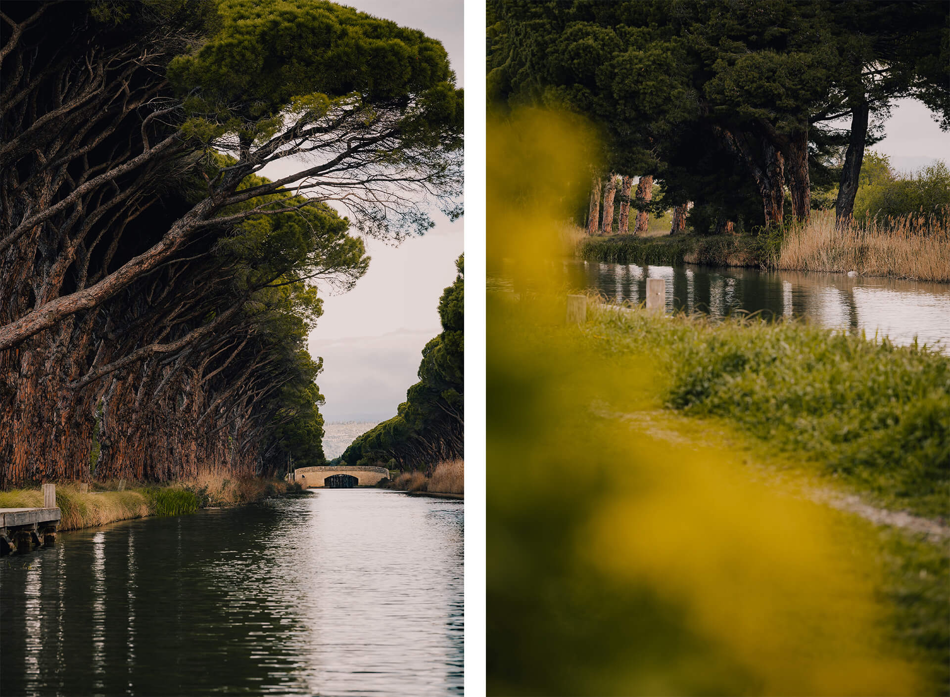 Adolina - Reportage Printemps - Sallèles d'Aude 2