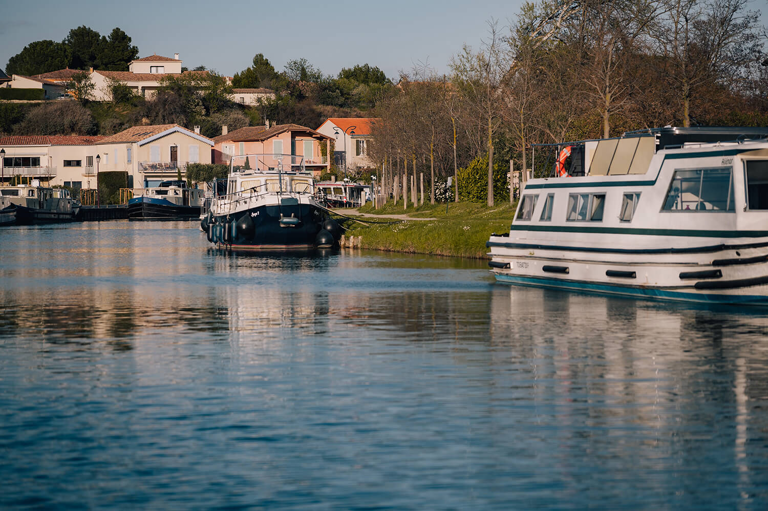 Adolina - Reportage Printemps - Capestang 1