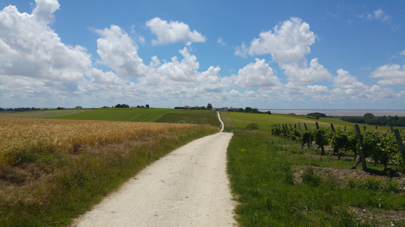 Traversée du vignoble de Blaye