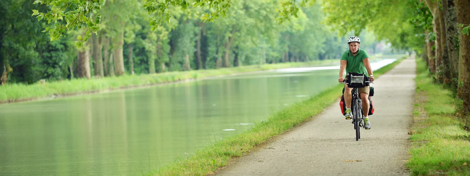 Balade à vélo sous les platanes du canal de Garonne