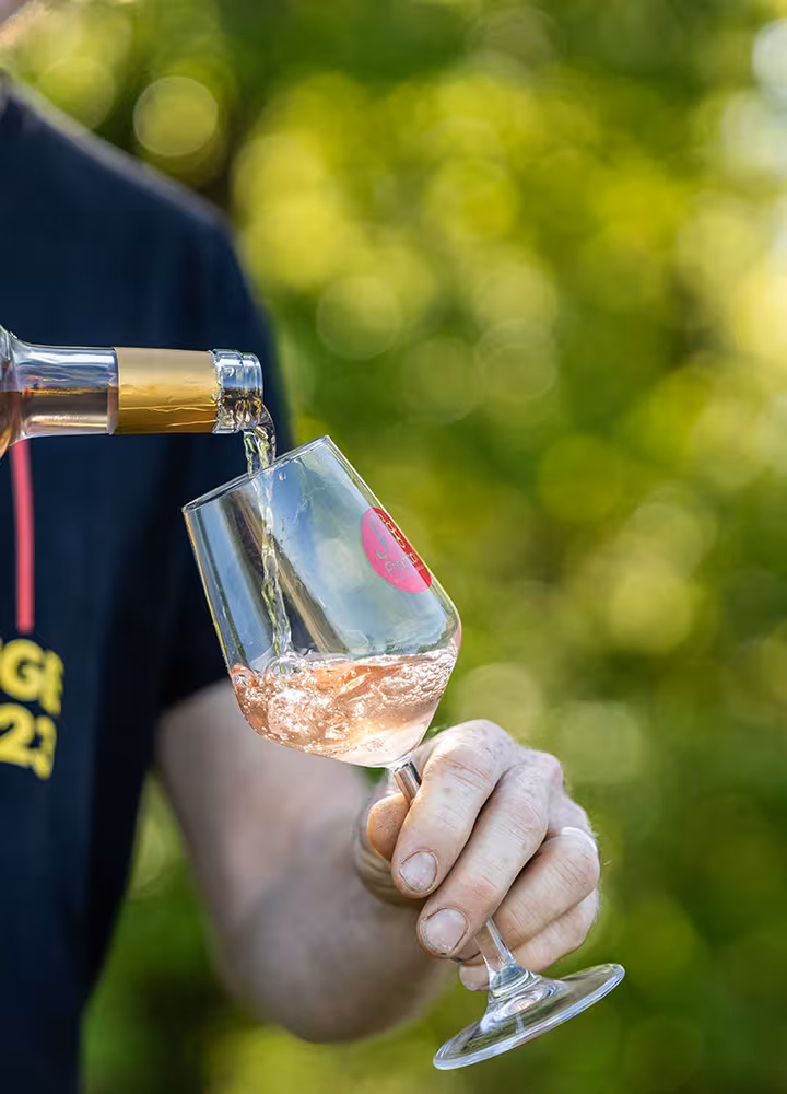 Domaine Bois de Devès 2