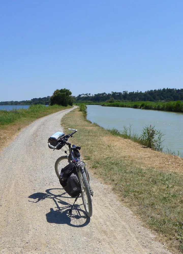 Au milieu des étangs sur le Canal de la Robine
