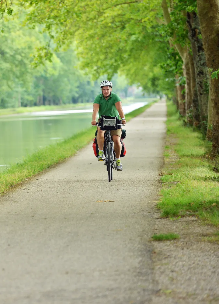 Balade à vélo sous les platanes du canal de Garonne