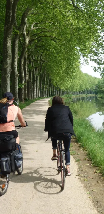 Sur le canal du midi à vélo