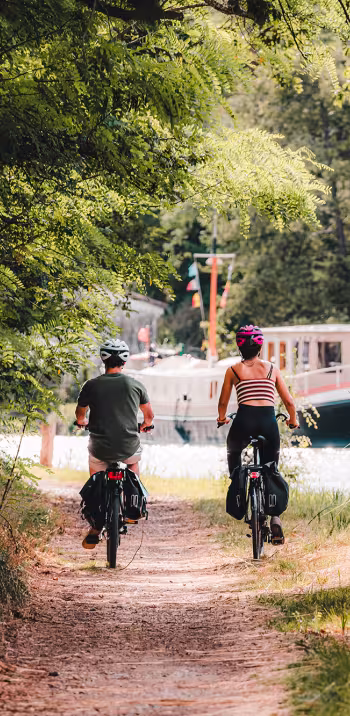 Aude- Paysage Canal Carcassonnais 01.jpg
