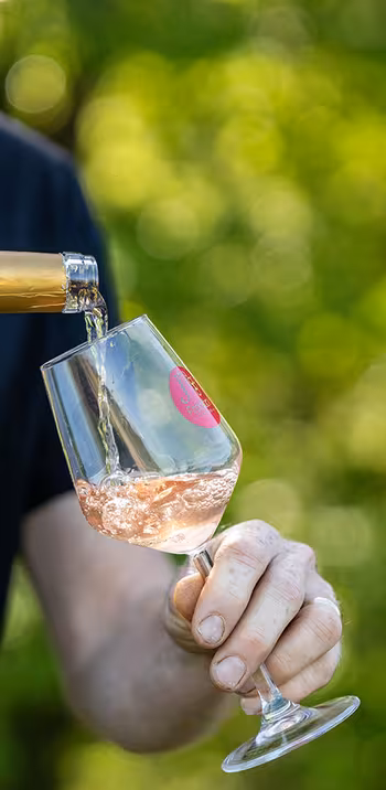 Domaine Bois de Devès 2
