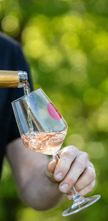 Domaine Bois de Devès 2