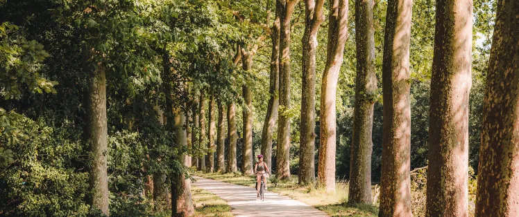 Haute Garonne, Sud de Toulouse