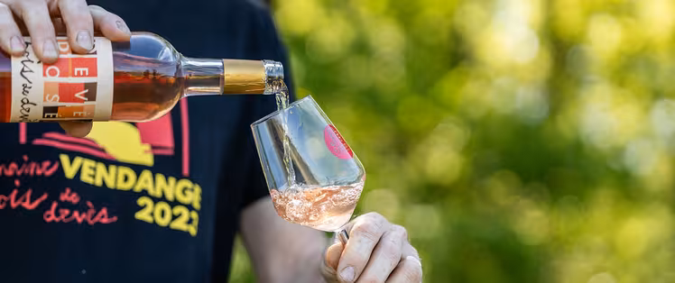 Domaine Bois de Devès 2