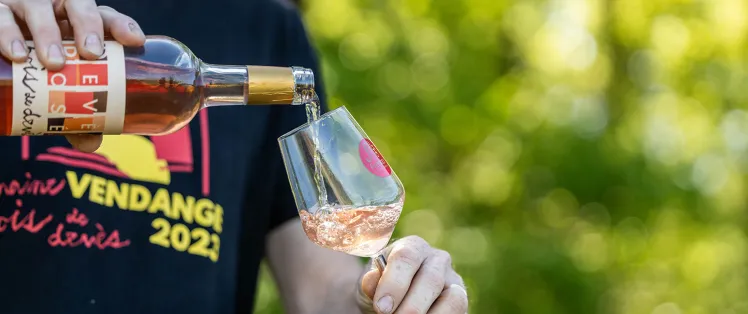 Domaine Bois de Devès 2