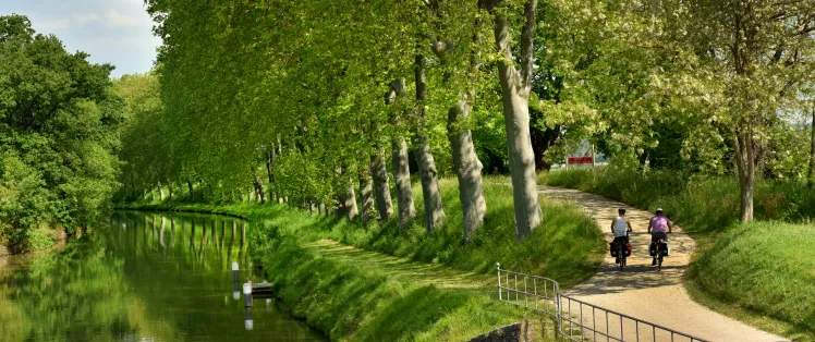 Le Canal du Midi à vélo de Toulouse à Carcassonne