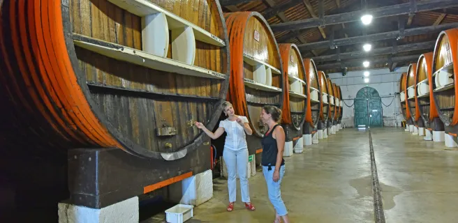 Le Canal du Midi à vélo : Agde / Sète
