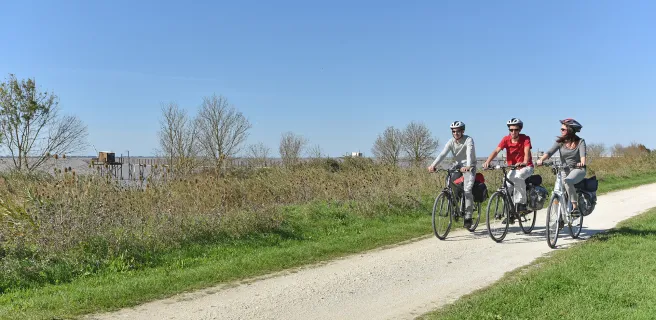 L'estuaire de la Gironde à vélo : Mortagne-sur-Gironde / Vitrezay