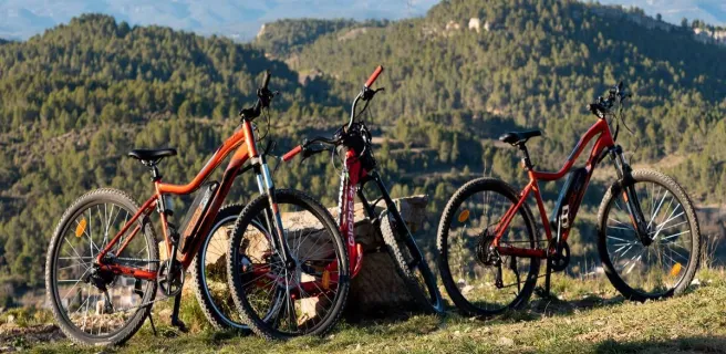 Facebook BigUpCycling