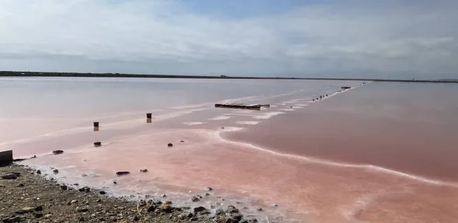 Le salin
