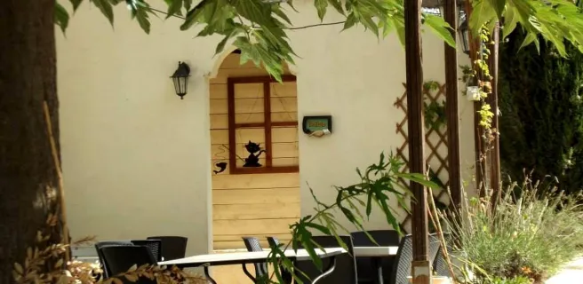 Le Chat qui Pêche