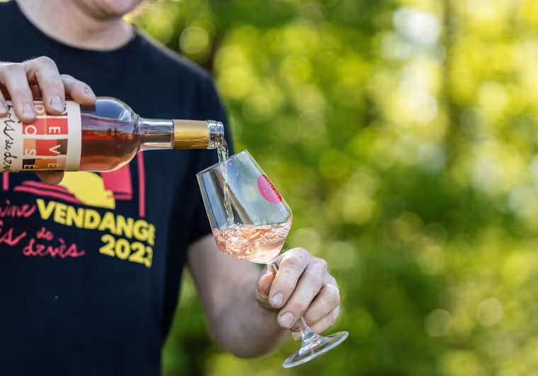 Domaine Bois de Devès 2
