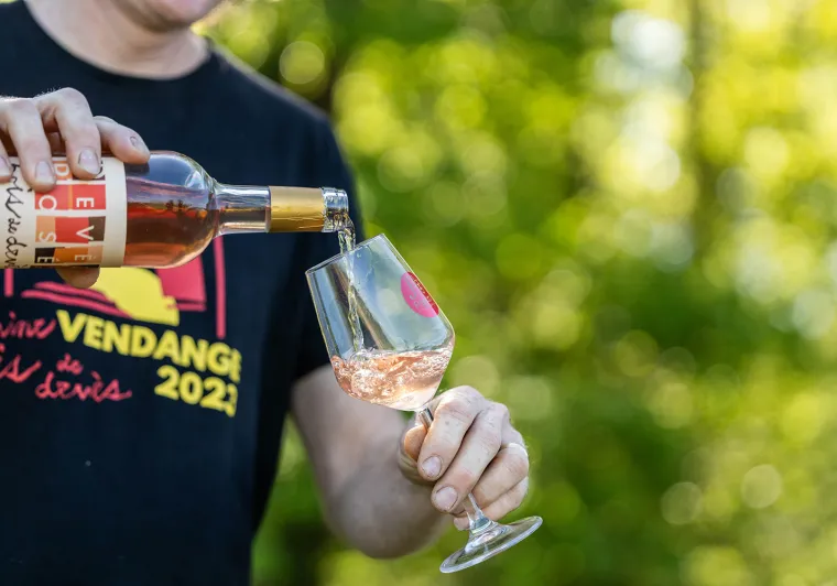Domaine Bois de Devès 2