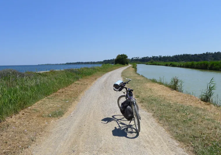 Au milieu des étangs sur le Canal de la Robine