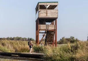 Terres d'oiseaux