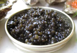 Caviar et esturgeon