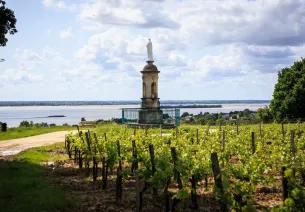 Panorama sur l'estuaire à Plassac en Haute-Gironde