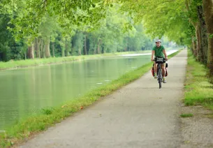 Balade à vélo sous les platanes du canal de Garonne