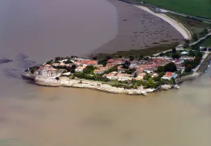 Talmont-sur-Gironde : vue aérienne