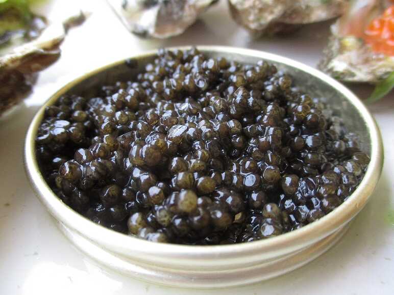 Caviar et esturgeon