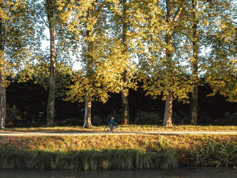 Canal des 2 mers en automne