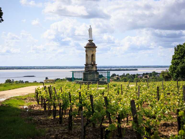 Panorama sur l'estuaire à Plassac en Haute-Gironde