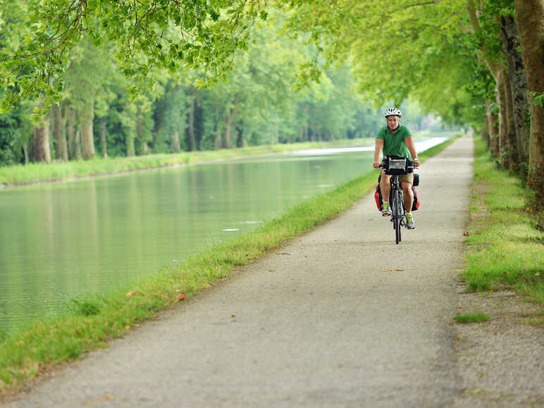 Balade à vélo sous les platanes du canal de Garonne
