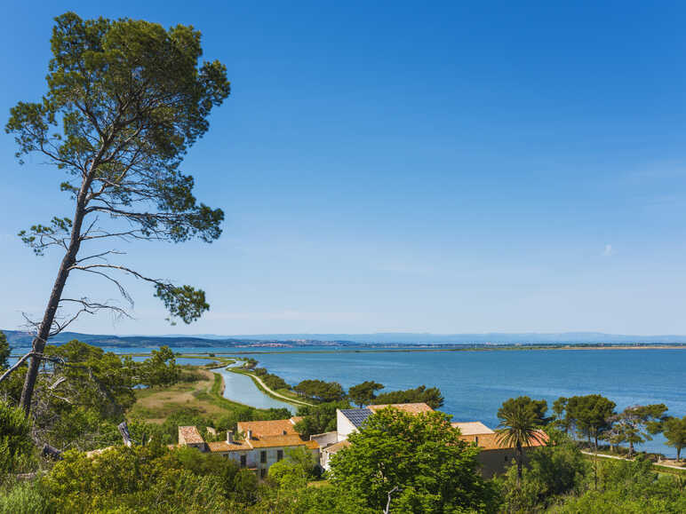 L'Île de Sainte Lucie - Roc Saint-Antoine